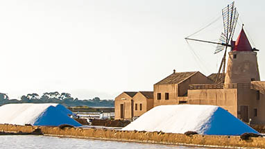 Le sel – l'or blanc des montagnes et de la mer 